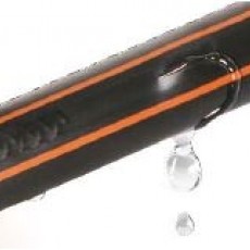 Zemspiediena piliencaurule