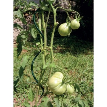 Atbalsta miets augiem, spirālveida, metāla 180cm/7mm
