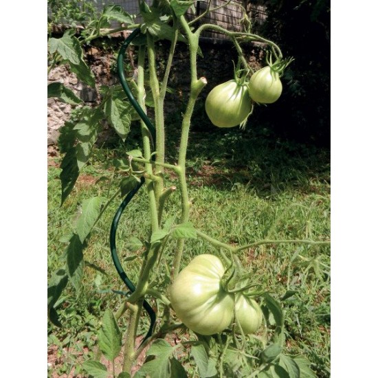 Atbalsta miets augiem, spirālveida, metāla 180cm/7mm
