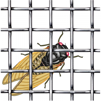 Insektu siets austs, izgatavots no karsti cinkotas metāla stieples 2.8*2.8/0.4mm 2.8*2.8/0.4mm H 0.6; L 10m
