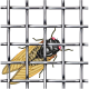 Insektu siets austs, izgatavots no karsti cinkotas metāla stieples 2.8*2.8/0.4mm 2.8*2.8/0.4mm H 1.0; L 10m