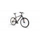 CREMONA 26