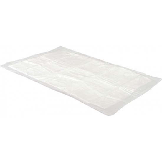 Camon Absorbējoši vienreizēji paladziņi suņiem 60 x 90 cm 10 gab.