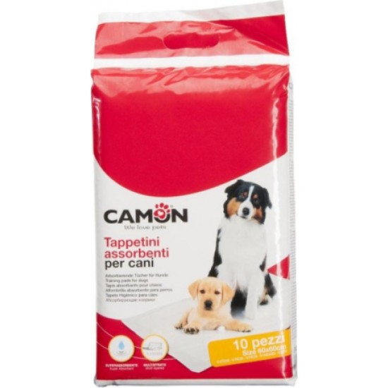 Camon Absorb. autiņi 60x60cm 10gb.
