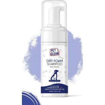 DRY FOAM SHAMPOO CUCUMBER MELON 150ml