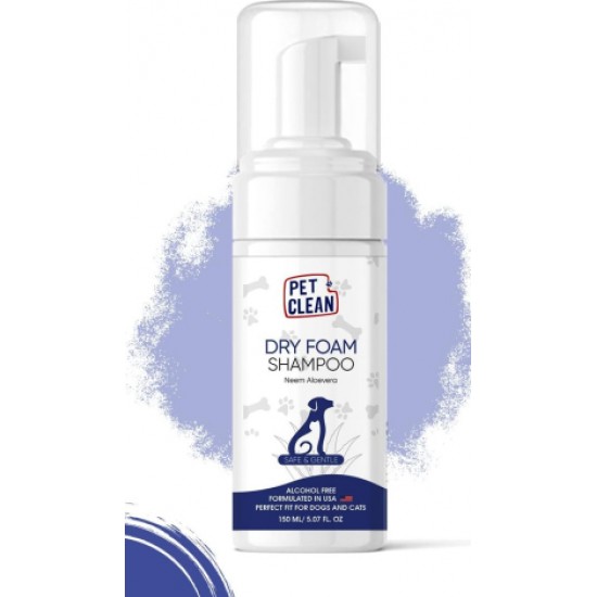 DRY FOAM SHAMPOO CUCUMBER MELON 150ml