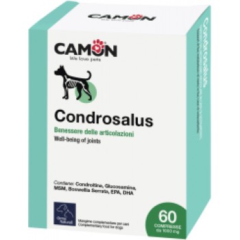 Condrosalus kapsulas suņiem 60gb.