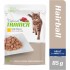 NT HAIRBALL CHICKEN BUSTA 85G - KONSERVI AR VISTU SPALVU IZVADĪŠANAI PIEAUGUŠIEM KAĶIEM (12gb)