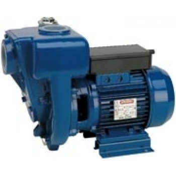 Ūdenssūknis HGM 50 -1.5 HP2 230V/50Hz Speroni