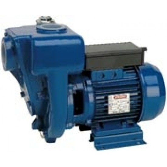 Ūdenssūknis HGM 50 -1.5 HP2 230V/50Hz Speroni
