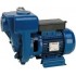 Ūdenssūknis HGM 50 -1.5 HP2 230V/50Hz Speroni
