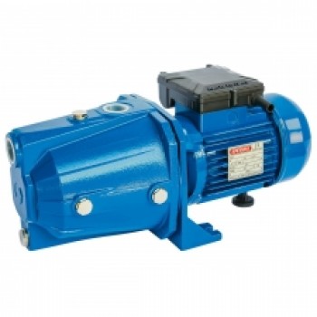 Ūdenssūknis CAM 100N HP1, 230V, AISI304 lāpstiņritenis, Speroni