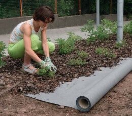 Neaustais ģeotekstils 110 g/m² 2x50 m