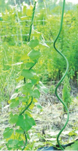 Atbalsta miets augiem, spirālveida 150cm/11mm