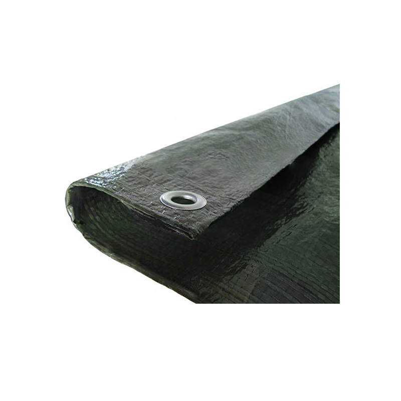 Pārklājs 120g/m² 2*3m