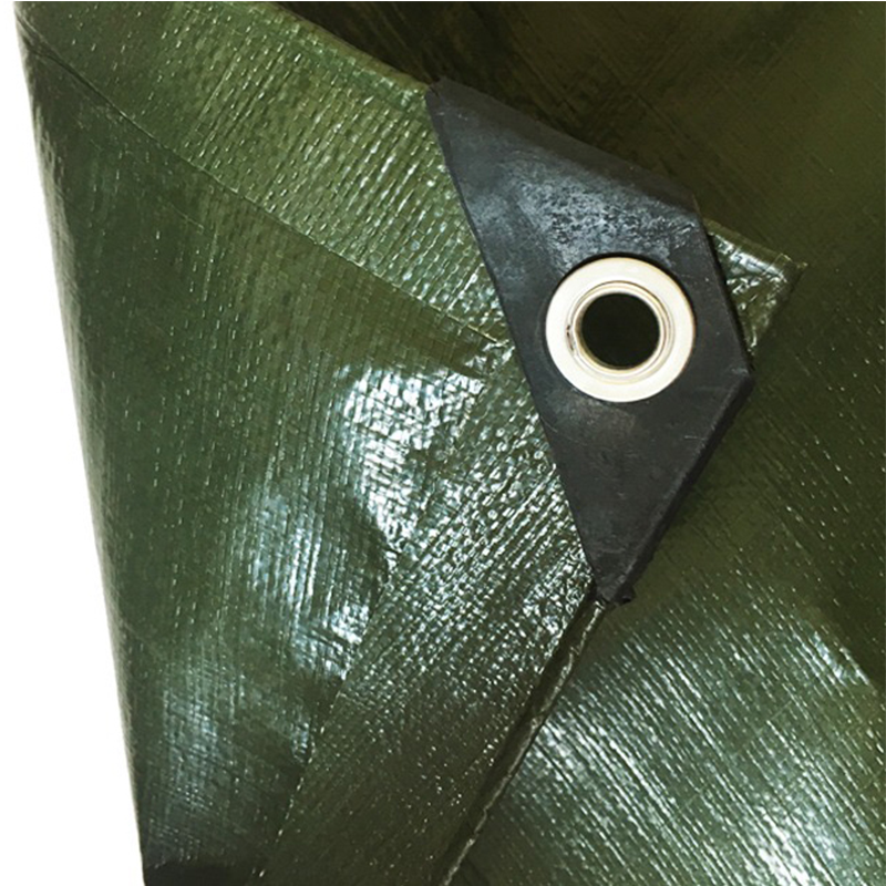 Pārklājs 170g/m² 6*8m