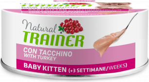 NT CAT BABY KITTEN TURKEY 80