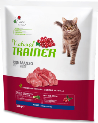 NT CAT ADULT WITH BEEF 300