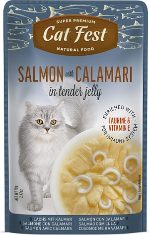 CatFest Salmon With Calamari in Jelly