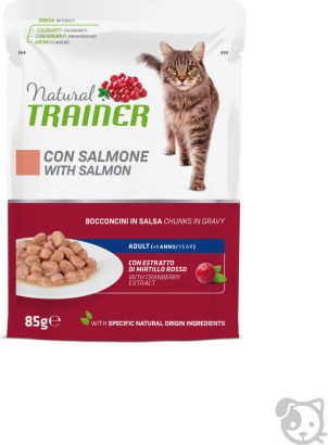 NATURAL TRAINER CAT SALMON 85G -
