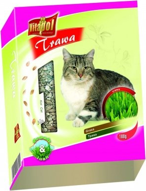 GRASS for cats in carton box